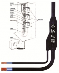 预分支电缆